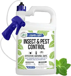 Mighty Mint Peppermint Oil Insect Repellent Spray, 1 Gallon (128 oz)
